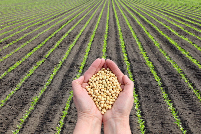 La votación en la Comisión de Agricultura reconoce las prácticas sostenibles en las explotaciones agrarias