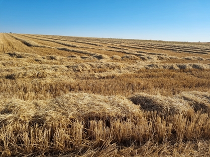 Más de 139.000 agricultores recibirán una ayuda extraordinaria del Estado por un importe total de casi 269 millones de euros