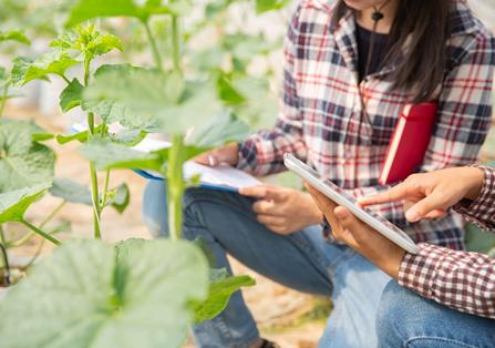 El Ministerio de Agricultura, Pesca y Alimentación y la Escuela de Organización Industrial renuevan su colaboración para impulsar la digitalización en el sector agrario